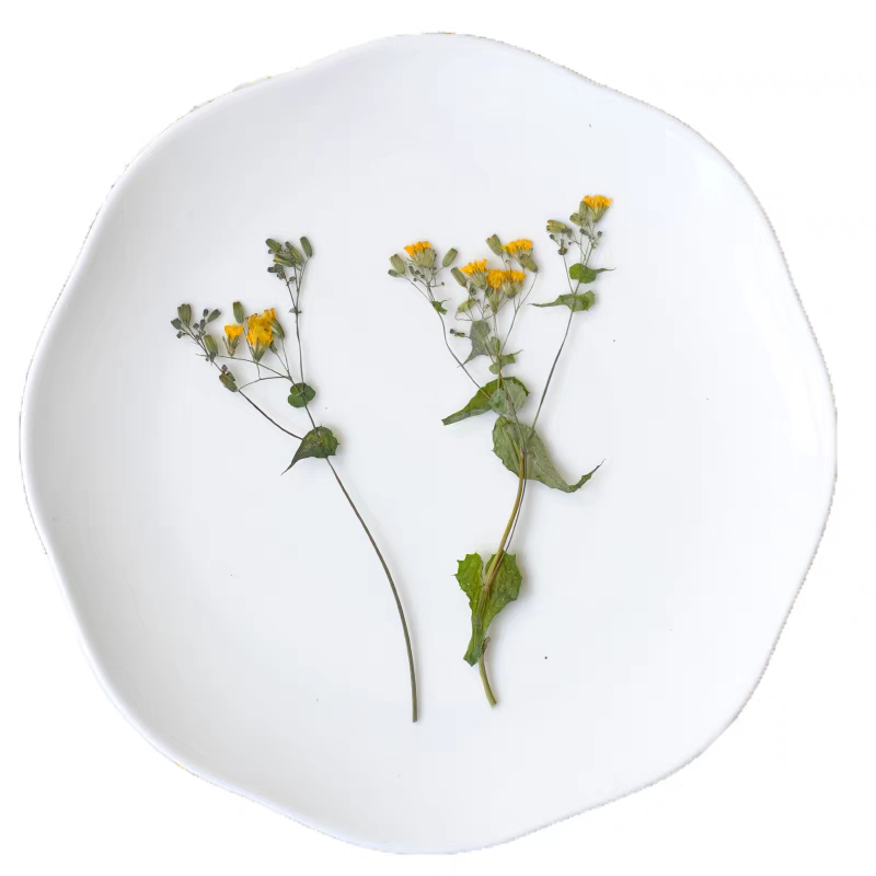 1Set Geperst Gedroogde Potenti - Dried Flower Bookmark recensie en prijs