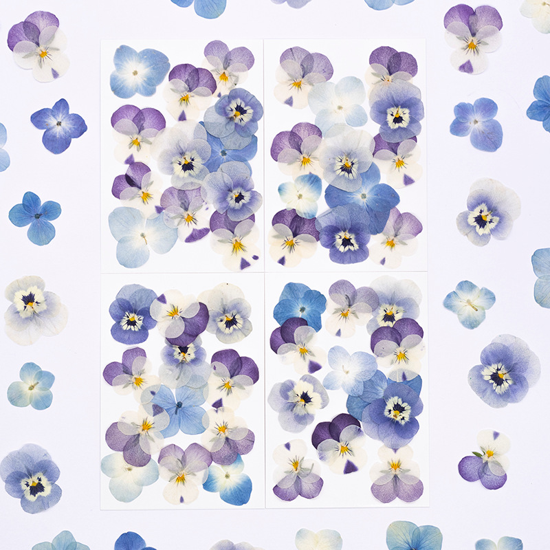 12 Stuks, Echte Viola Cornuta  - Dried Flower Bookmark recensie en prijs