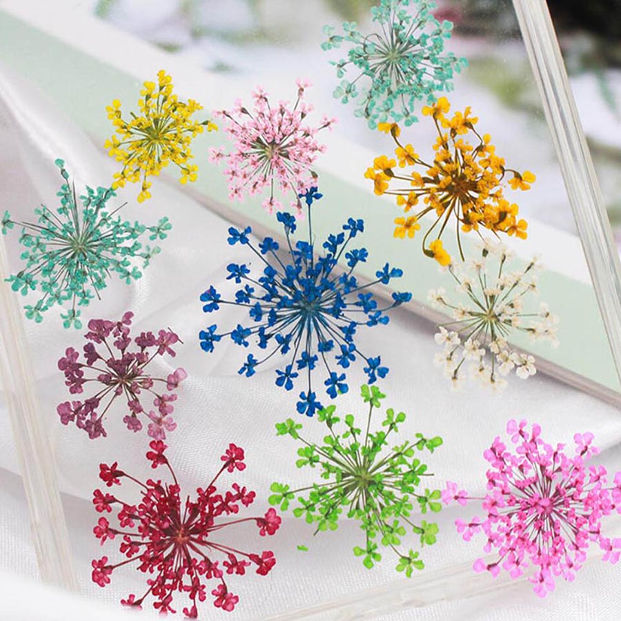 60 stuks geperst gedroogde 15- - Dried Flower Bookmark recensie en prijs