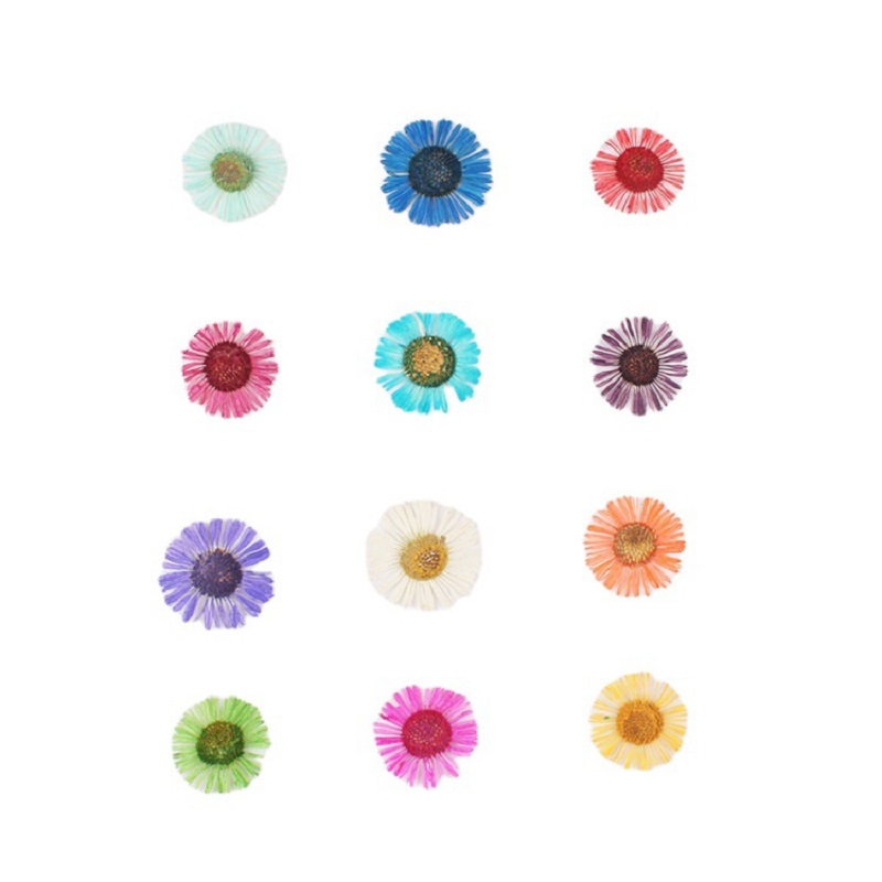 1 Set Geperste Gedroogde Bloem - Dried Flower Bookmark recensie en prijs