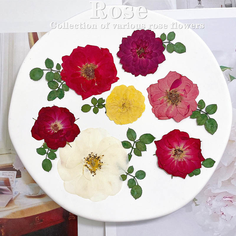 60pcs Geperst Gedroogd Rood Ge - Dried Flower Bookmark recensie en prijs
