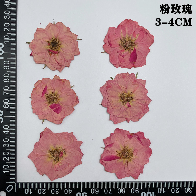 60pcs Geperst Gedroogd Rood Ge - Dried Flower Bookmark recensie en prijs