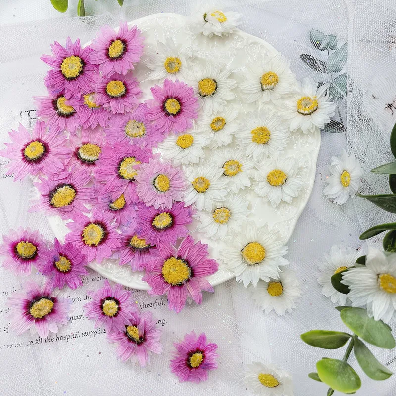 24Pcs/2-4Cm, Natuurlijke Geper - Dried Flower Bookmark recensie en prijs