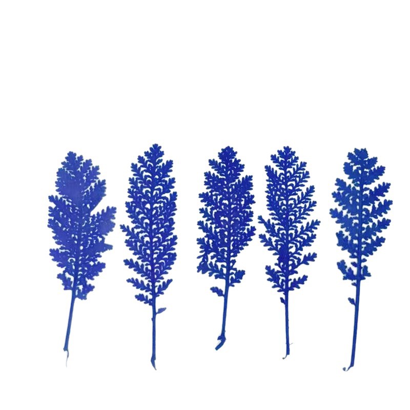 100 stuks natuurlijke zilveren - Dried Flower Bookmark recensie en prijs